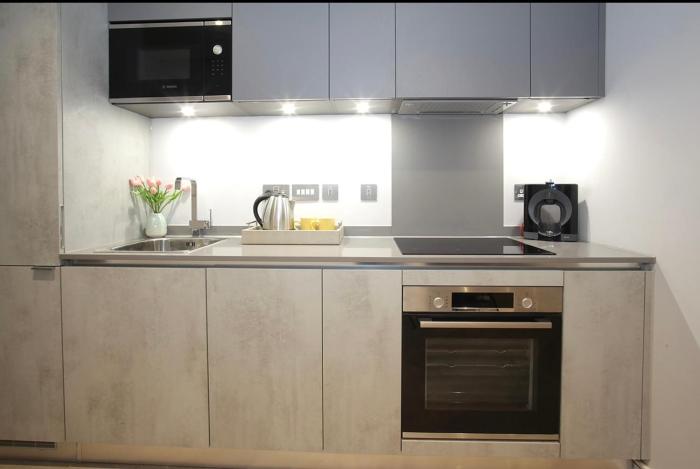 One-bedroom manitri apartment