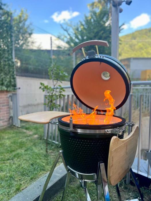 Mountain View with Terrace