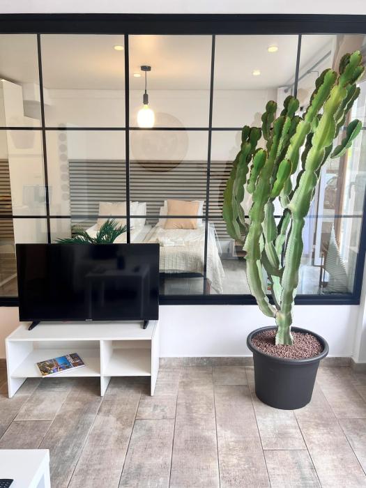 Cactus Apartment