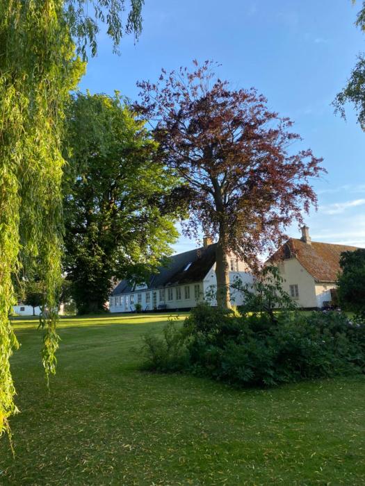 Pilemosegaard, lejlighed med 2 værelser