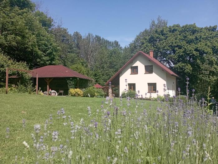 Domek v osadě Kladiny