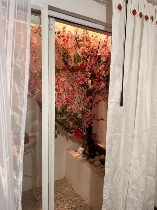 !Apar Studio independiente WOW - Único y Moderno