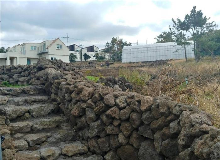 Jeju Bijarim Very Mung Pension