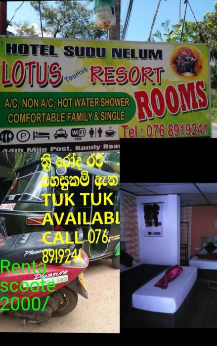 Lotus Inn Tourist Resort