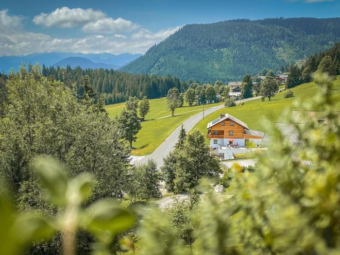 Ferienhaus Dachsteinheim