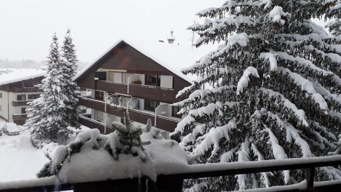 Apartment Bergblick 2