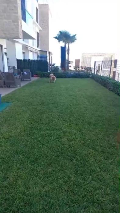 Super appartement plage des nations