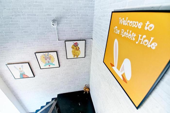 The rabbits hole hostel