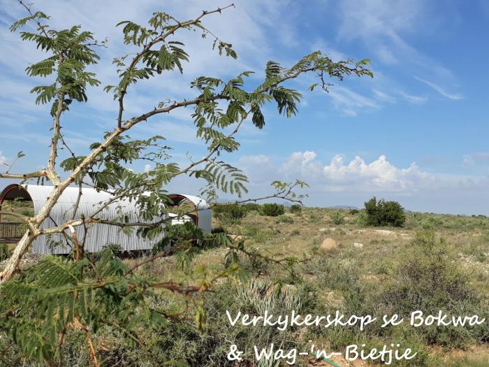 Knersvlakte Ossewaens Adam se Uitspanning