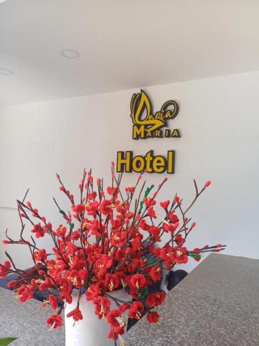 MARIA HOTEL