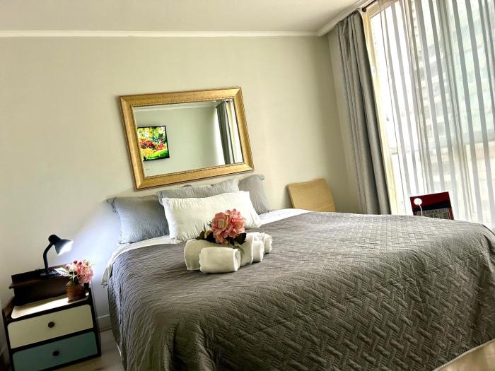 Casco histórico metro Santa Lucía 7