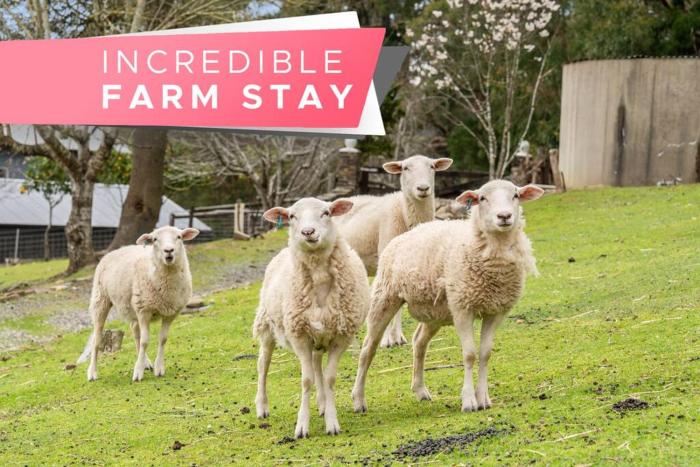 Carawatha on The Range - Unique Farm Stay