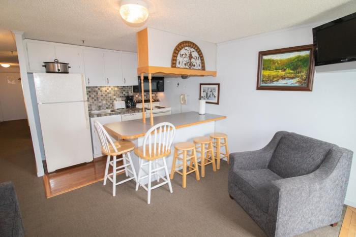 ML320 Light And Bright EZ Access To Village And Slopes WiFi