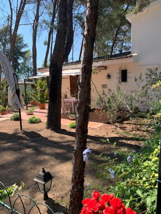 Chalet Felicita con giardino Immerso nel bosco