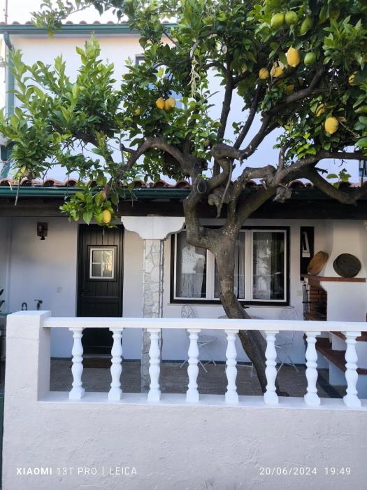 Casa do Limoeiro - Quartos
