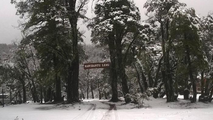 Cabañas Mawidantu Lemu