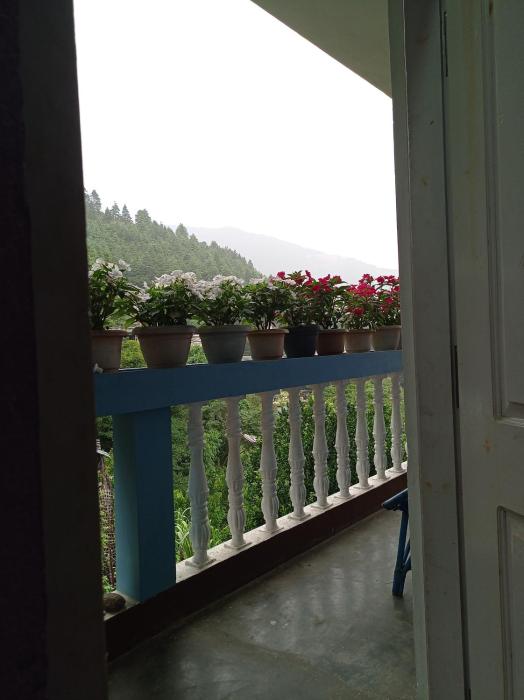 Pema HOMESTAY