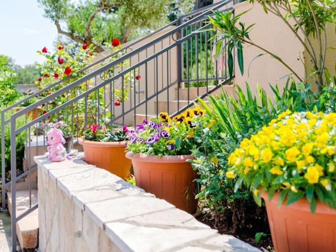 Apartment Lili- One Bedroom Apartment with Terrace ST