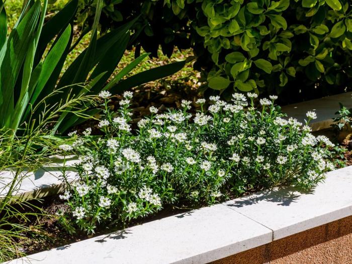 Apartment Veronika - One Bedroom Apartment with Terrace