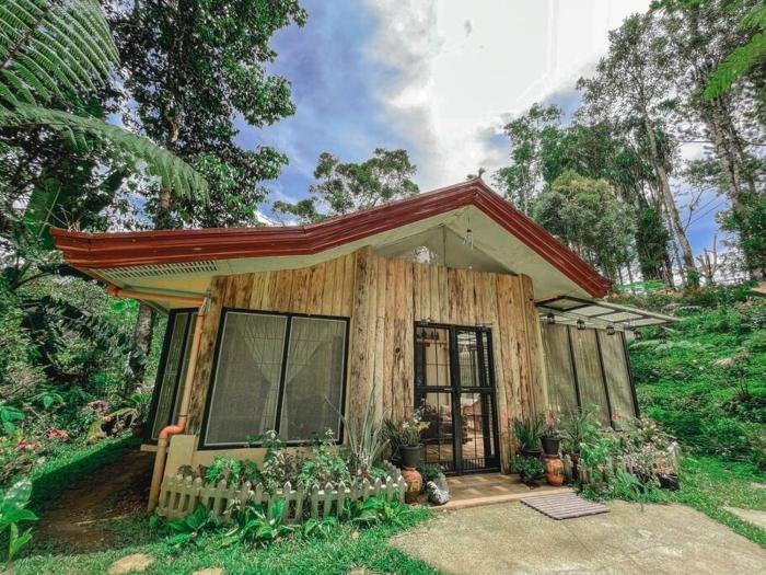 TwinkleVille Christmas-Themed Cottage