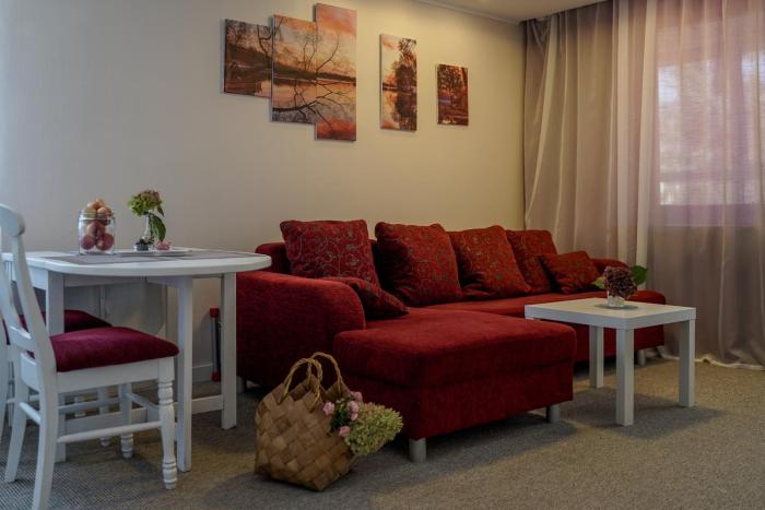 Apartamentai Birštono centre su židiniu