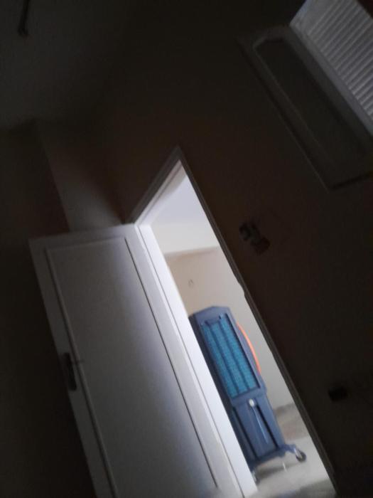 Florence el khameseny