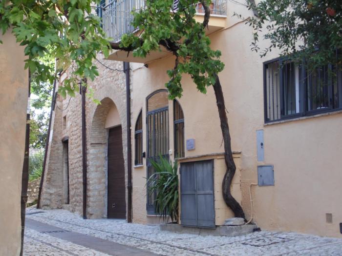 La vecchia vite casa vacanze