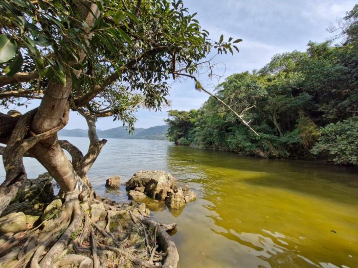 Peri kit house temporada