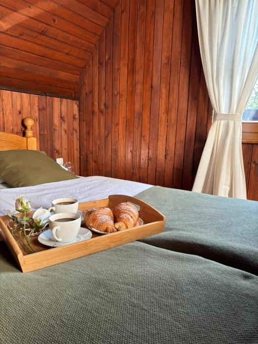 Countryside cottage with mountain view