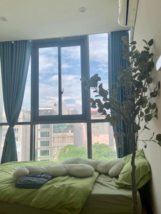 Amoureux Gravier 701 Quan Hoa