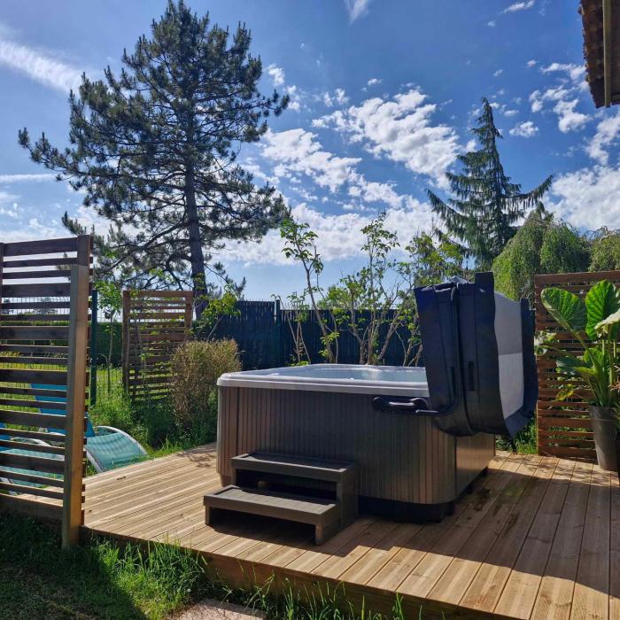 Chalet JACUZZIspa privatif PERCE NEIGE