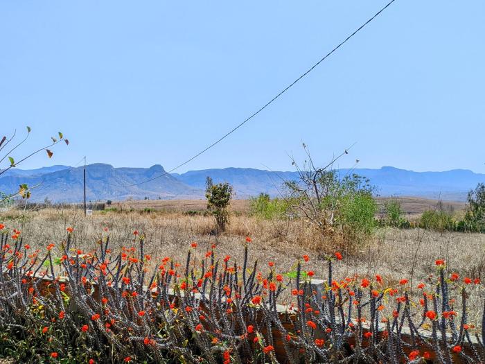 Chambre dhôte Ristorante Pizzeria Liberta