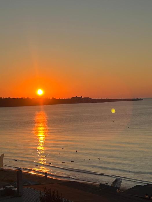 Комплекс Рич 2