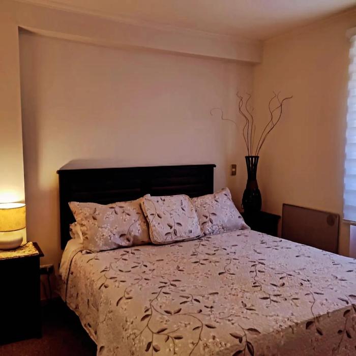 Puerto Montt Departamentos