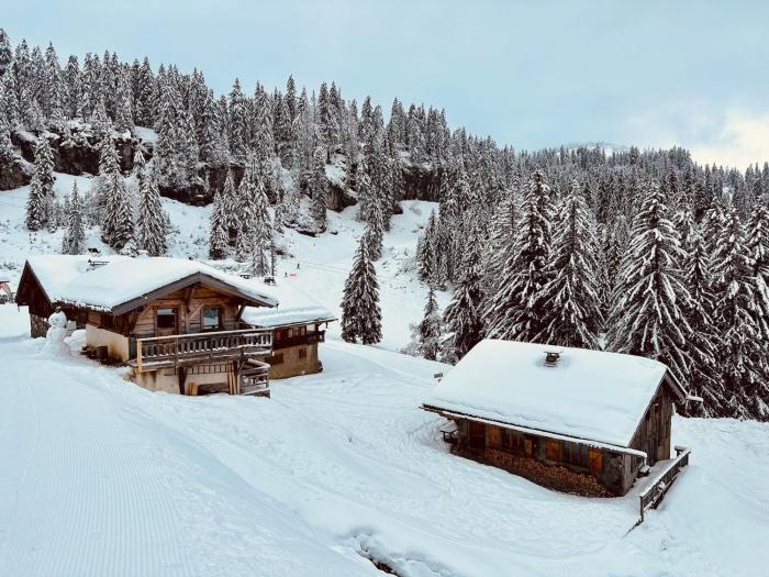 Le Ruisseau, Lindarets, authentique, 11 personnes