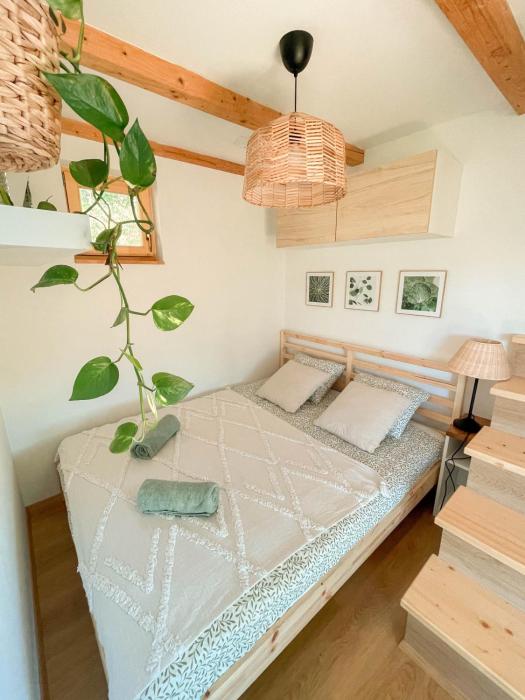 Vineyard escape Šuklje