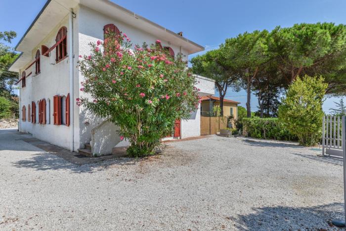 Elba Bellavista -- Home --