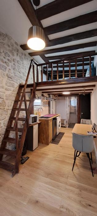 ÉCHAPPÉE Parisienne