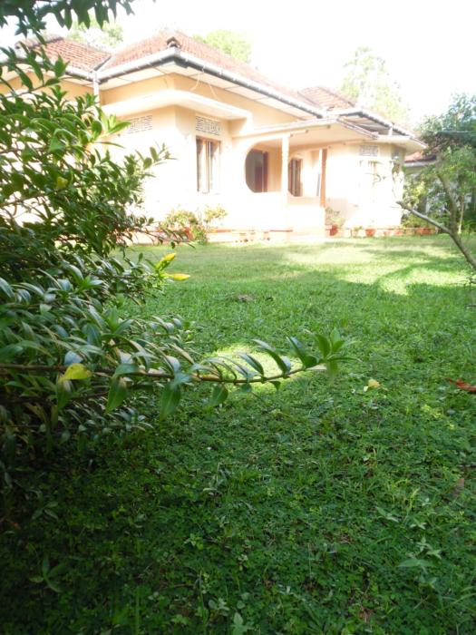 Freedom River House Free Environment Villa