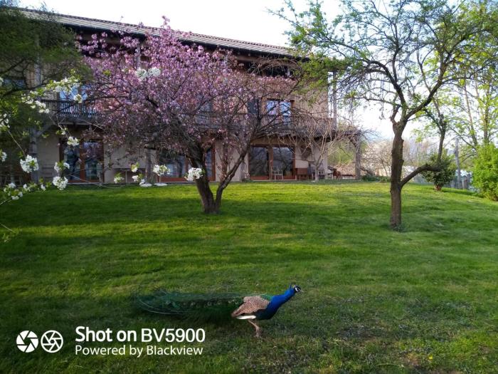 BioAgriturismo Vegan Campo di Cielo