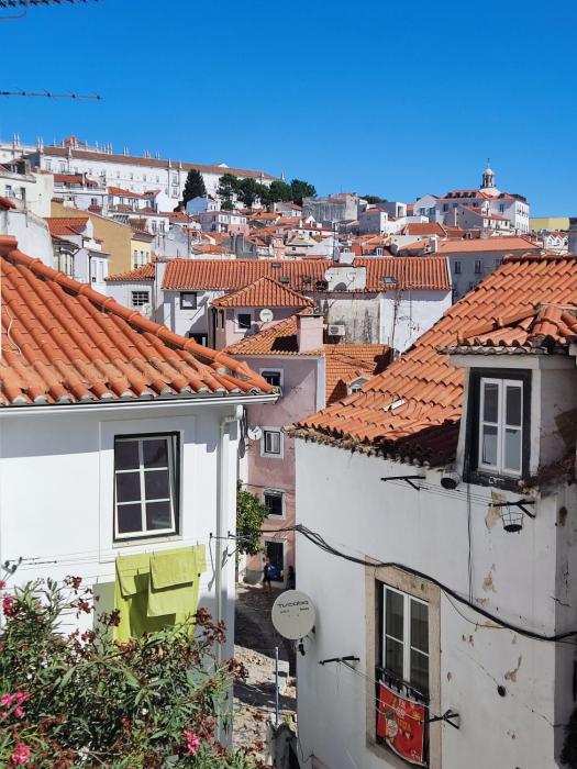 Cozy flat with marvelous view