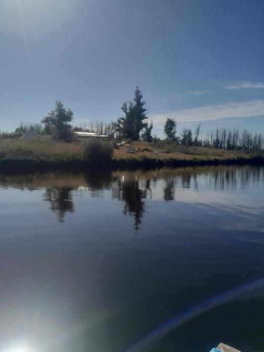 Cuckoo Lake Forest Cabin