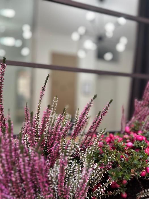 TEZONE SEVEN Apartments