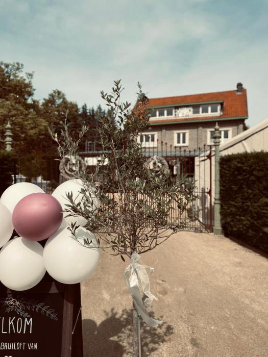 Guesthouse t Goed Leven