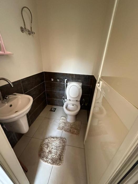 Acacia compound,new cairo