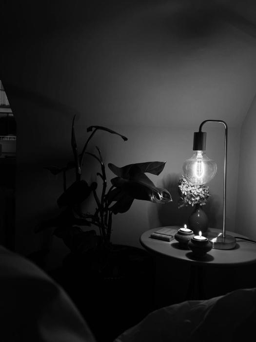 Apartament Zielony Stół