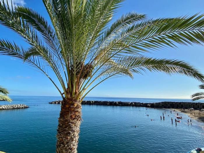 The Vibe Madeira Apartment 2