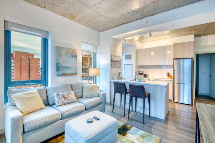 Modern Apt In Kendall Square