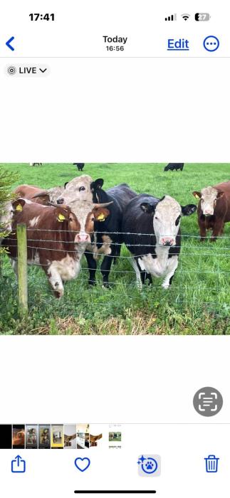 Eastfield Cottage Free Parking And Ev Charger