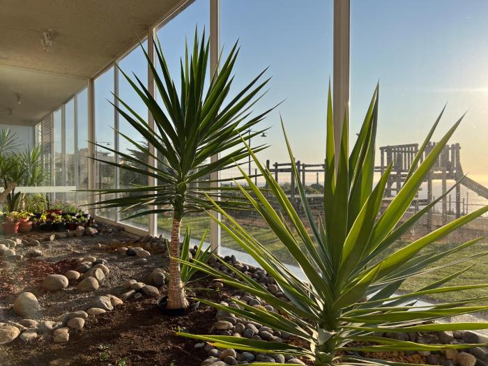 Oceana Suites Costa Montemar